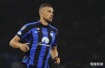 养老联赛?39岁哲科即将重返意甲老将成群德布劳内都算是年轻的