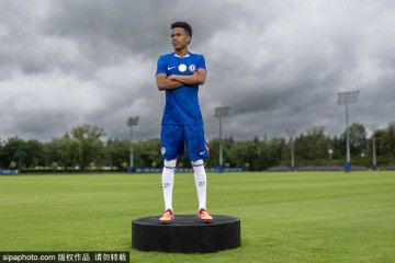 今日趣图:埃基蒂克德甲15球卖9500万欧,塞斯科13球8500万合理?